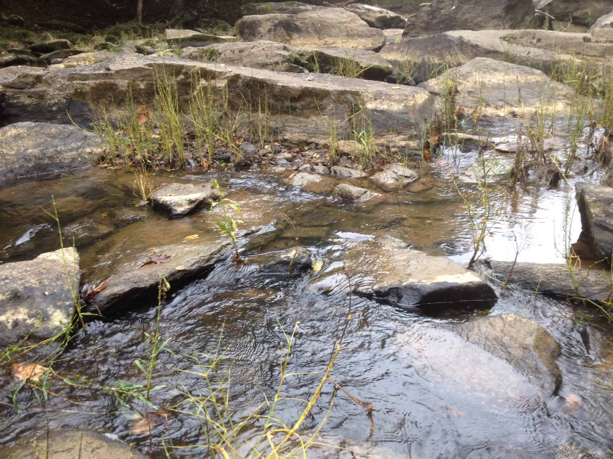 Preserve the Eno River now!