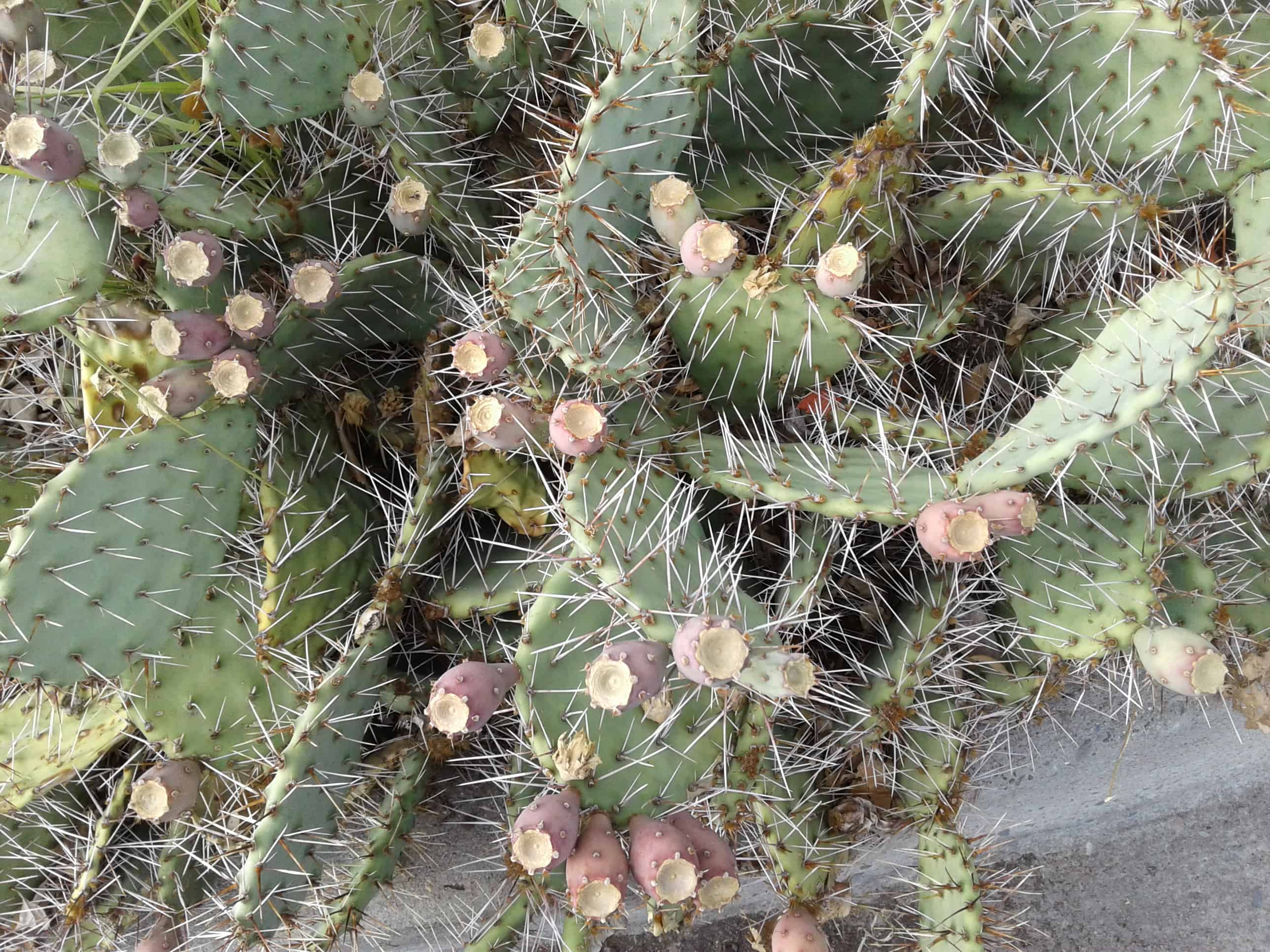 Durham Cool response to the election results