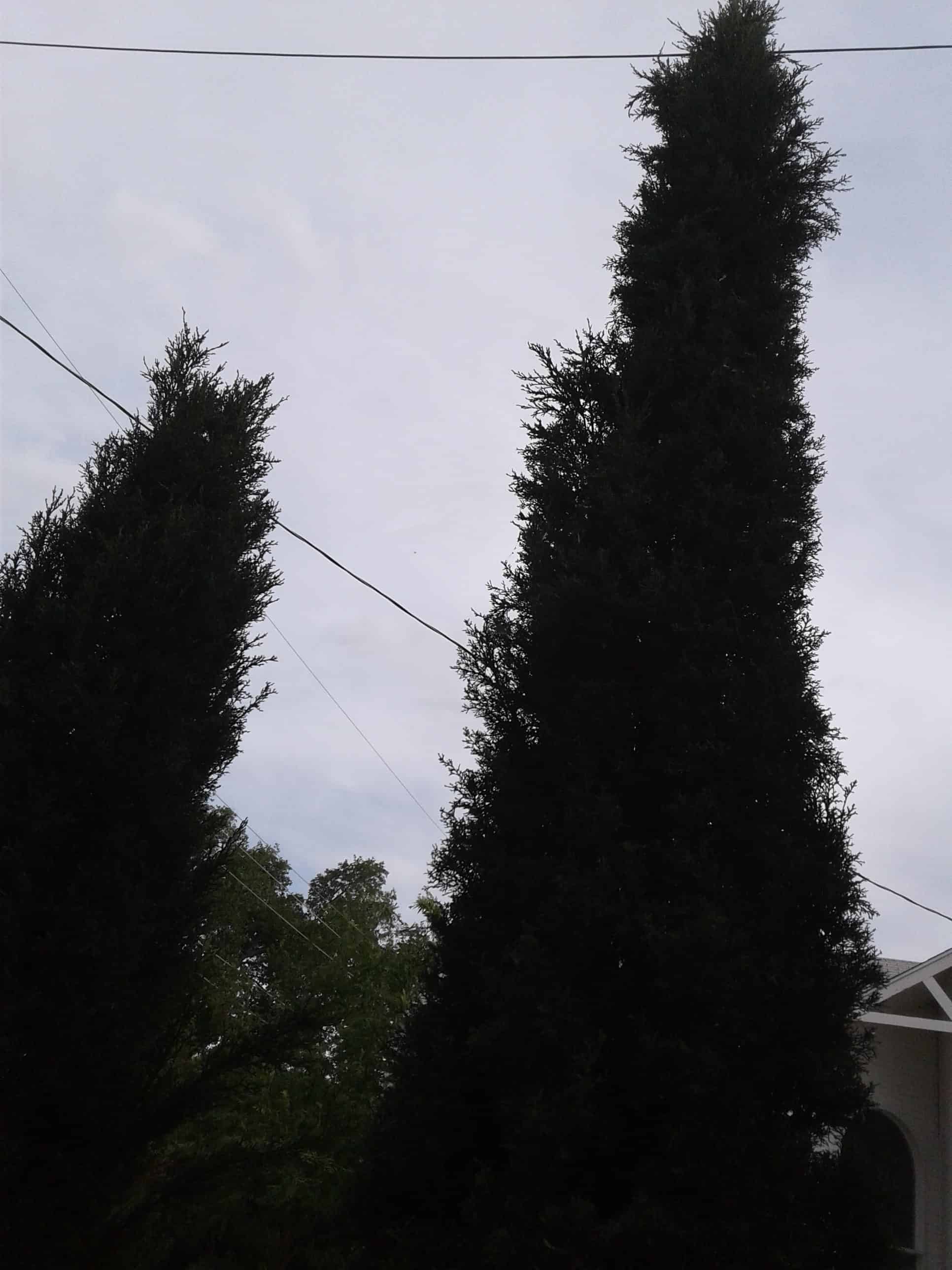 Not two, but one now