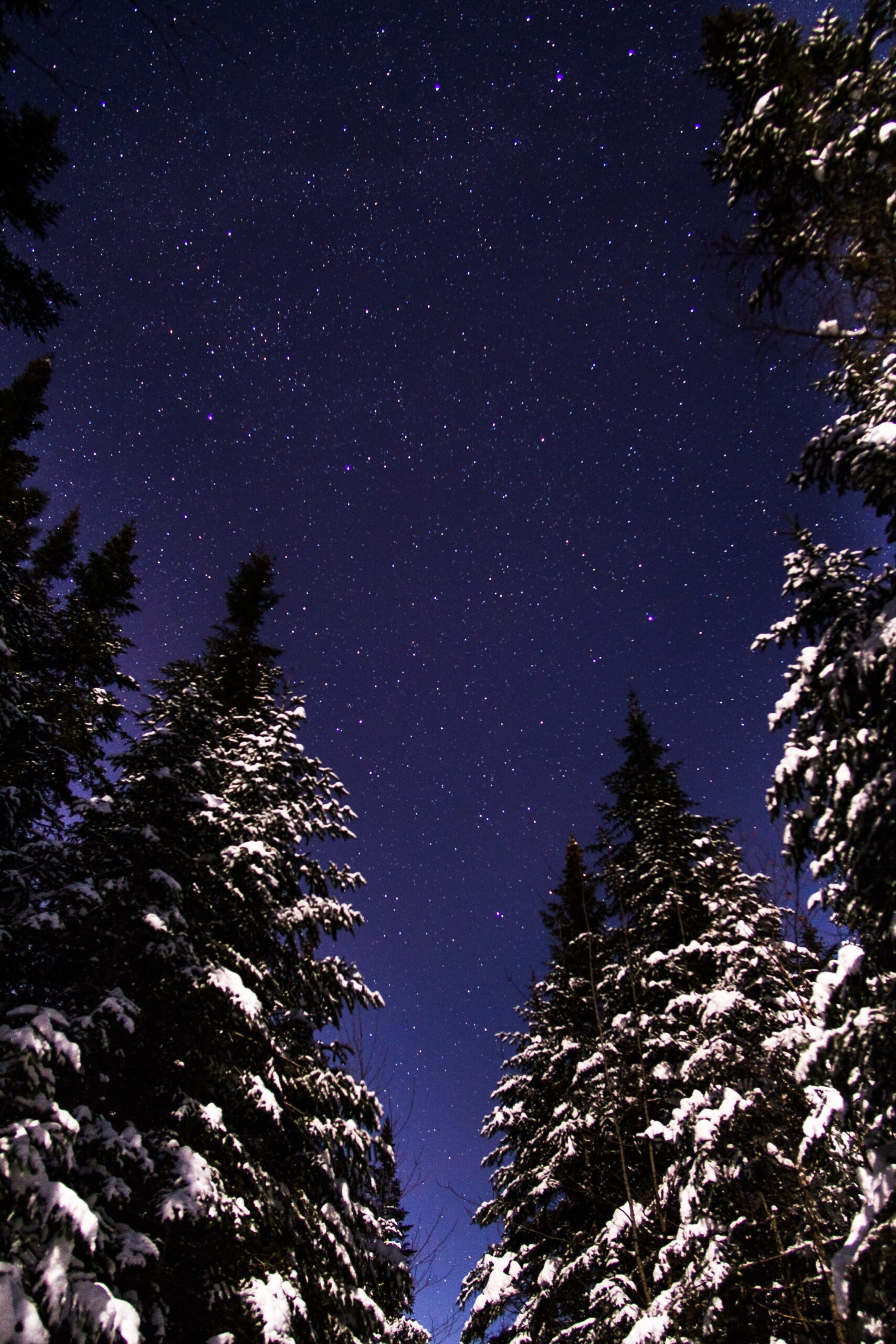 david-deshaies-Large circe of pines open up to night sky Noth Dakota Winter unsplash