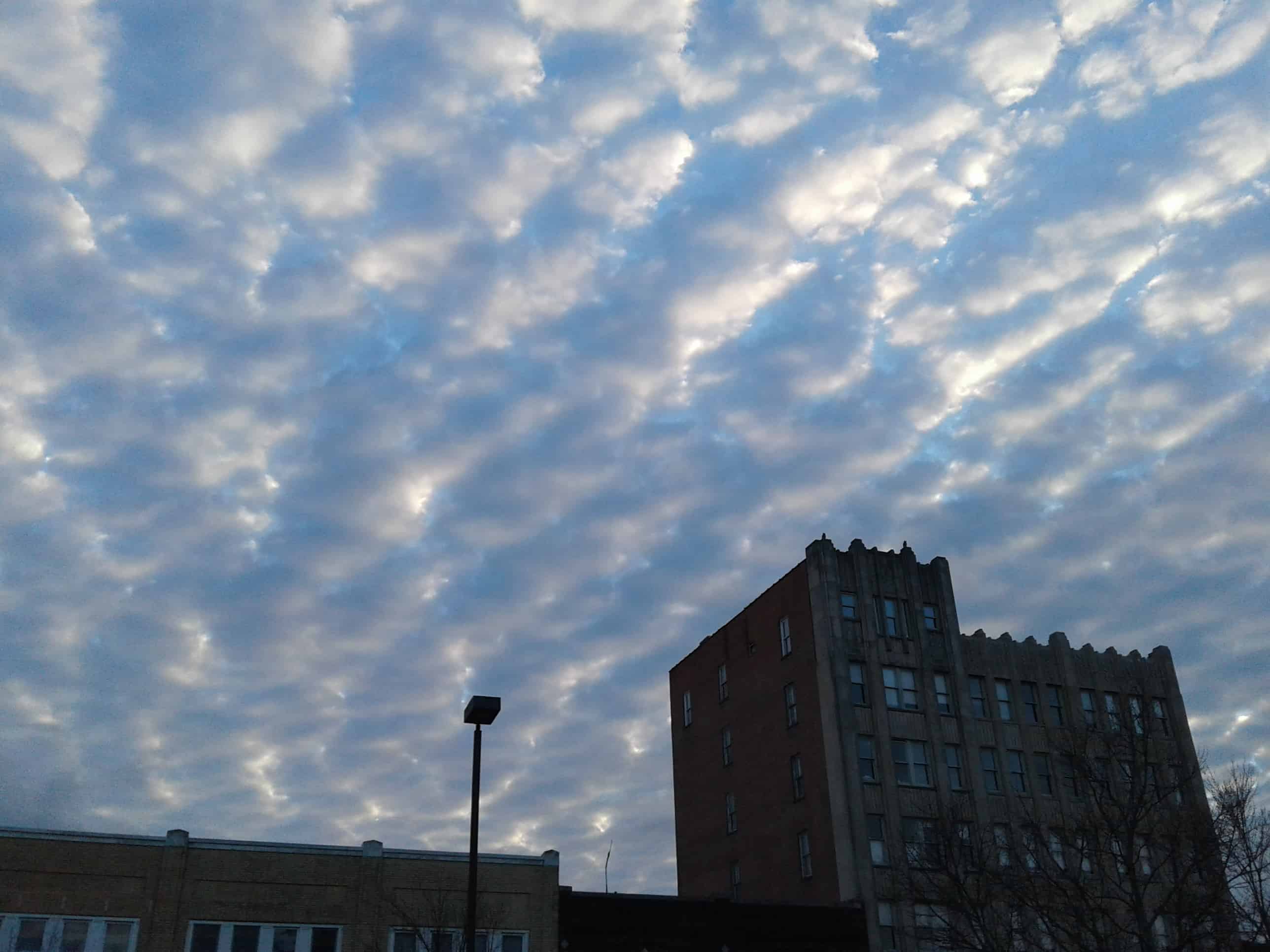 Durham Cool informal reader survey