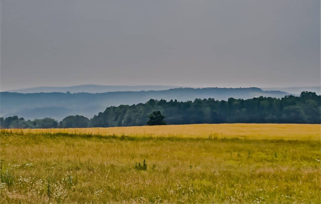East Hill Field by Franklin Crawford