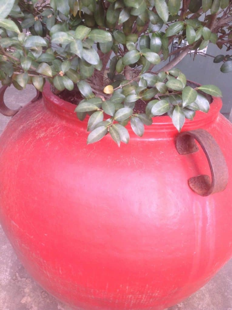 Cinnebar red pot
