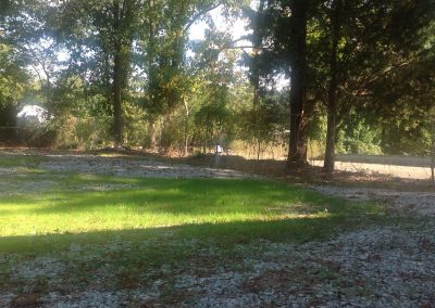 Front Yard Oaks off Murray