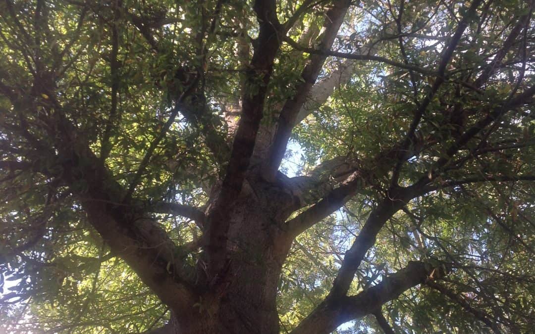 Durham Fall 2017 photo essay