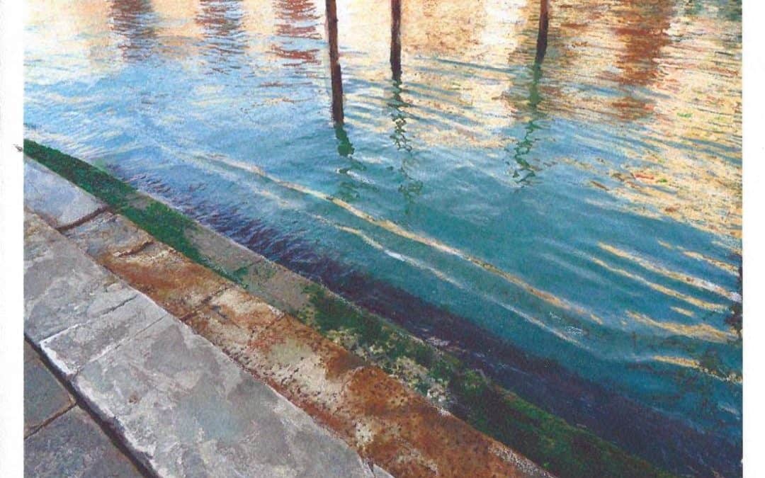 What Art and NATURE can do