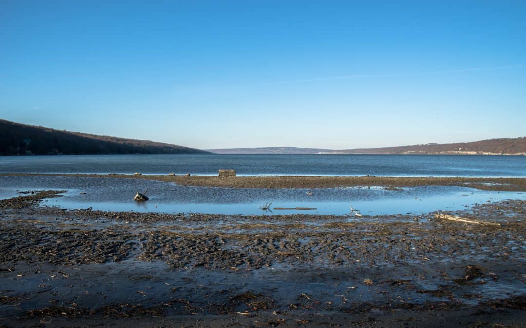 Protected: Ann Ruth Esckilsen, MSW, LGSW Holistic Counselor