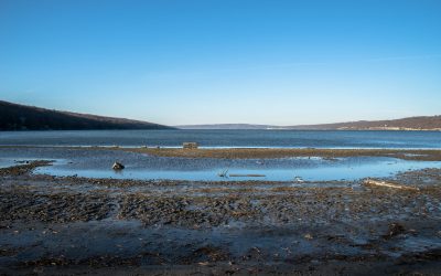 Protected: Ann Ruth Esckilsen, MSW, LGSW Holistic Counselor