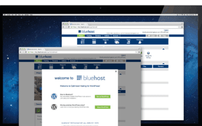 Bluehost and WordPress a perfect marriage!