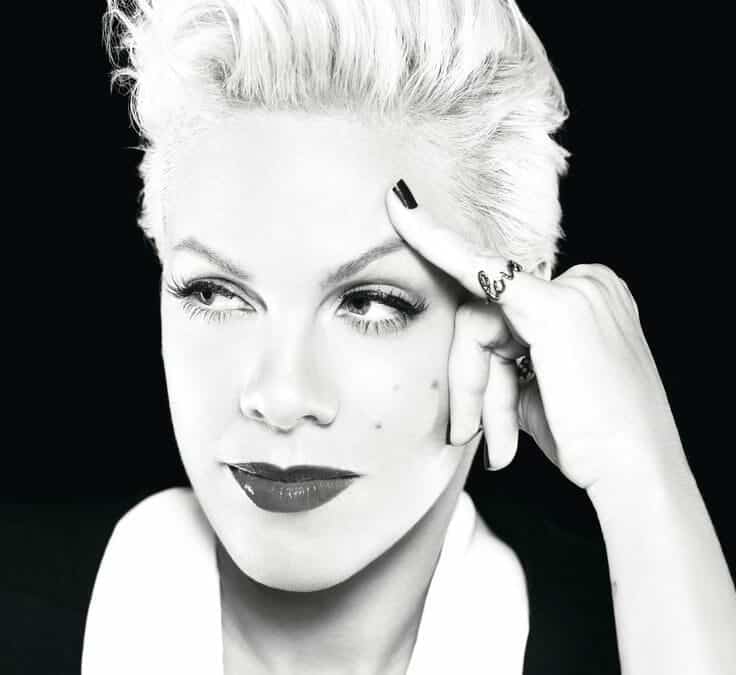 Pink covers “Me and Bobby Mcgee”