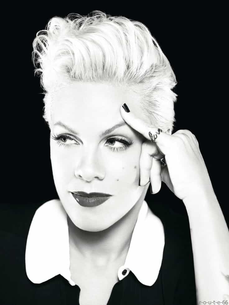 Pink covers “Me and Bobby Mcgee”