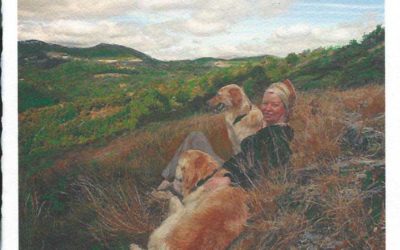 What is the best and highest response to Hatred and Violence?