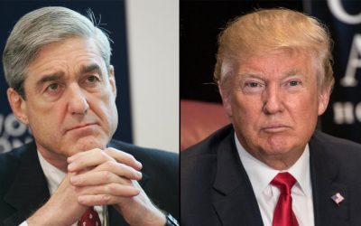 Just the Indisputable Facts