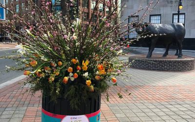 Now Durham Identity in 1995?