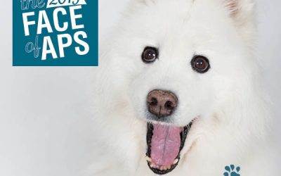 Online Registration ending soon, in person registration 9am Sat !