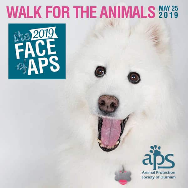 Online Registration ending soon, in person registration 9am Sat !