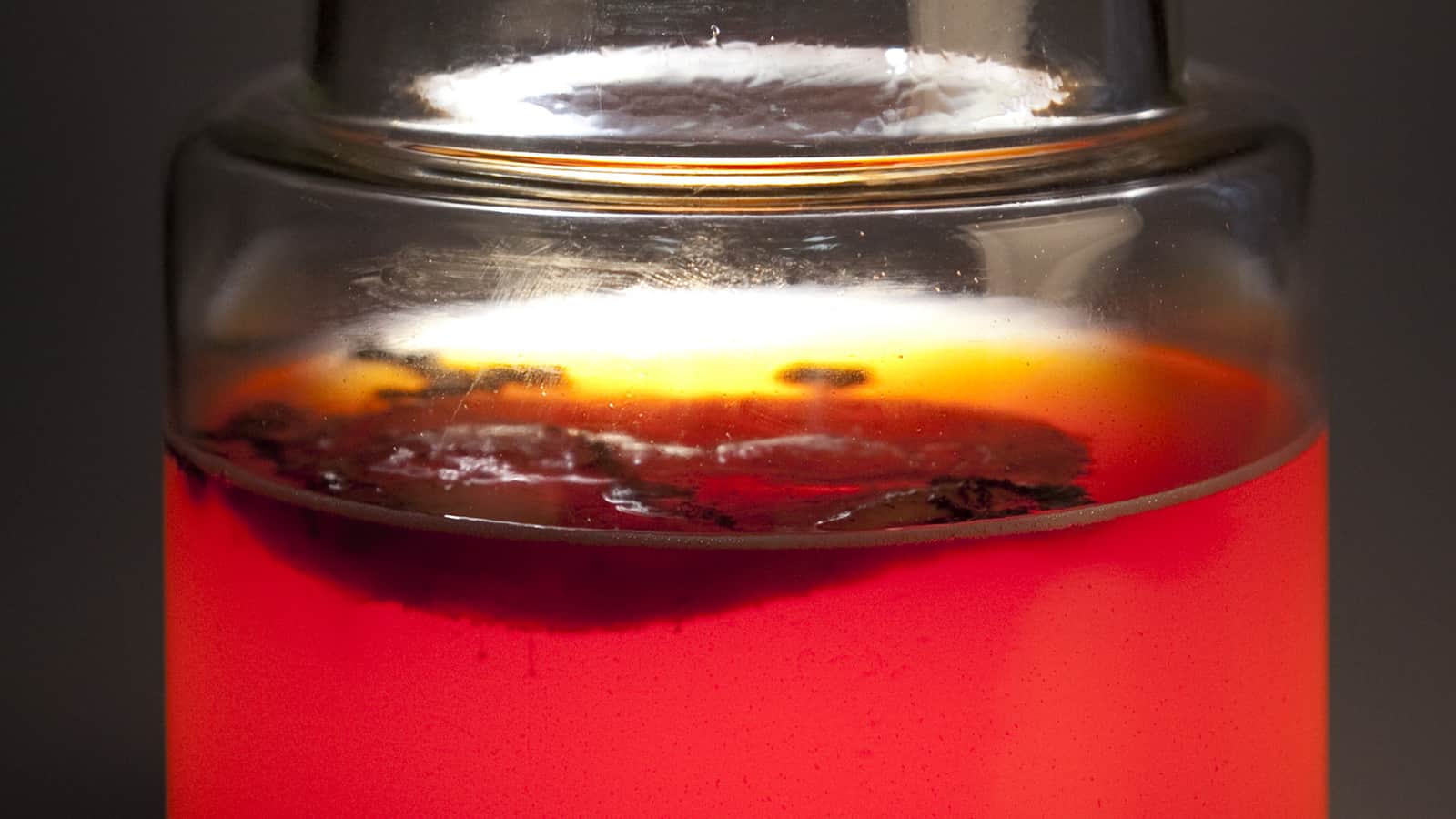 Why Kombucha?