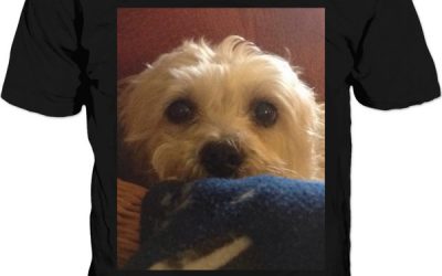 Durham Cool T Shirt-your Feedback requested!