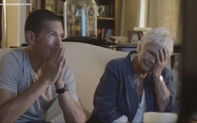 Why we love Dame Judi Dench right now