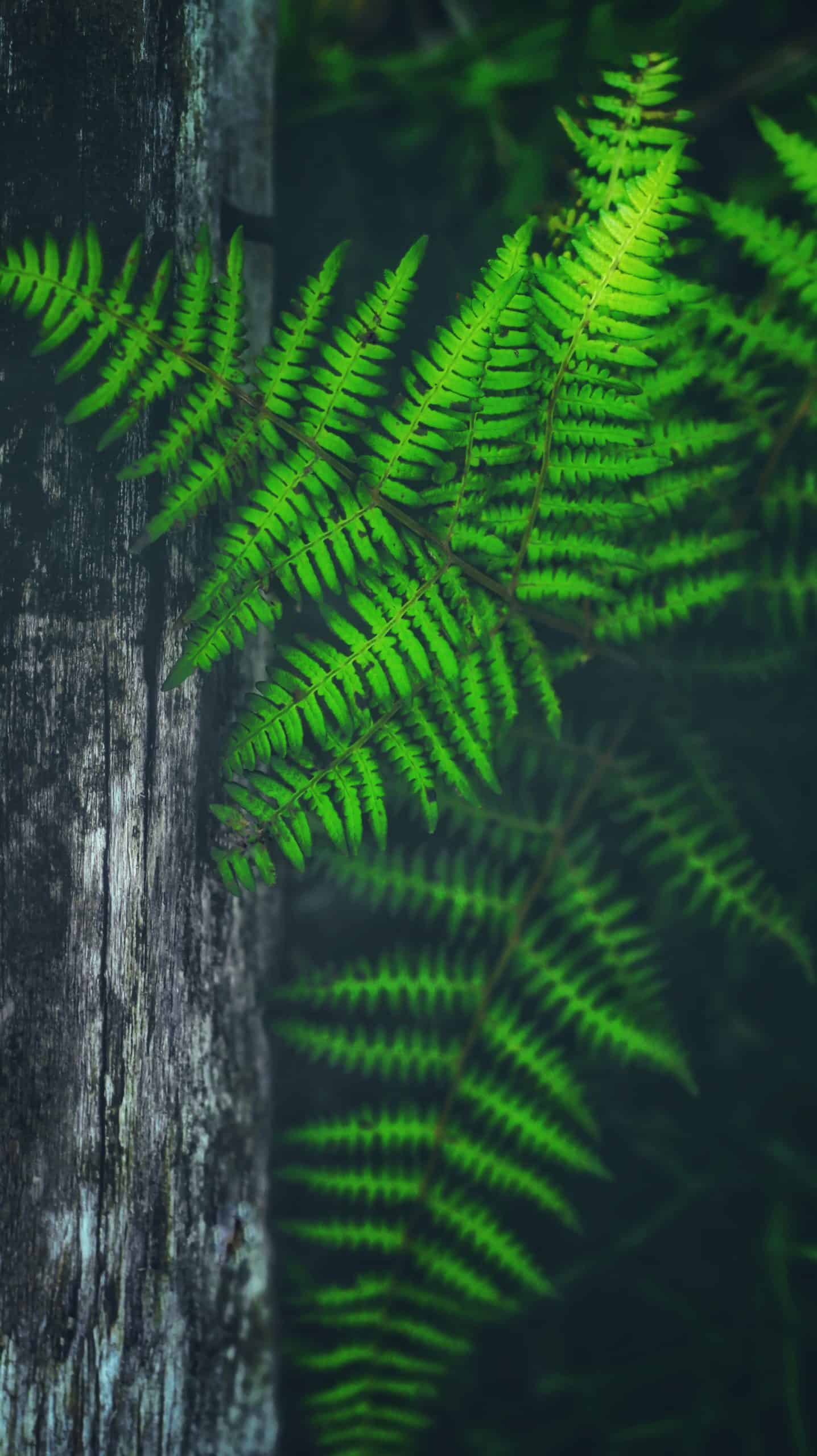 siegmund-photography-w4boagmigLA-unsplash