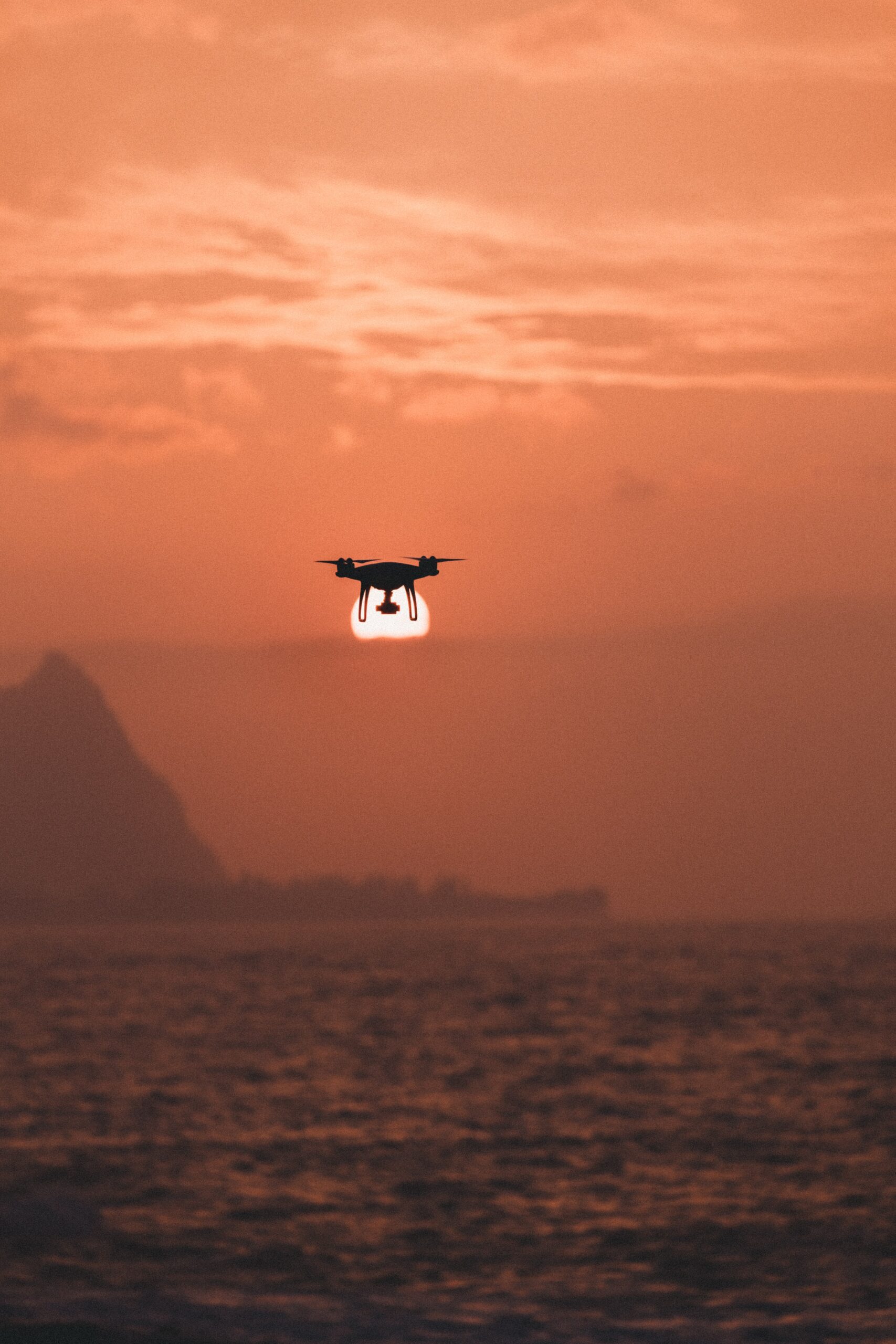 A drone hovers over field of yellow flowers
