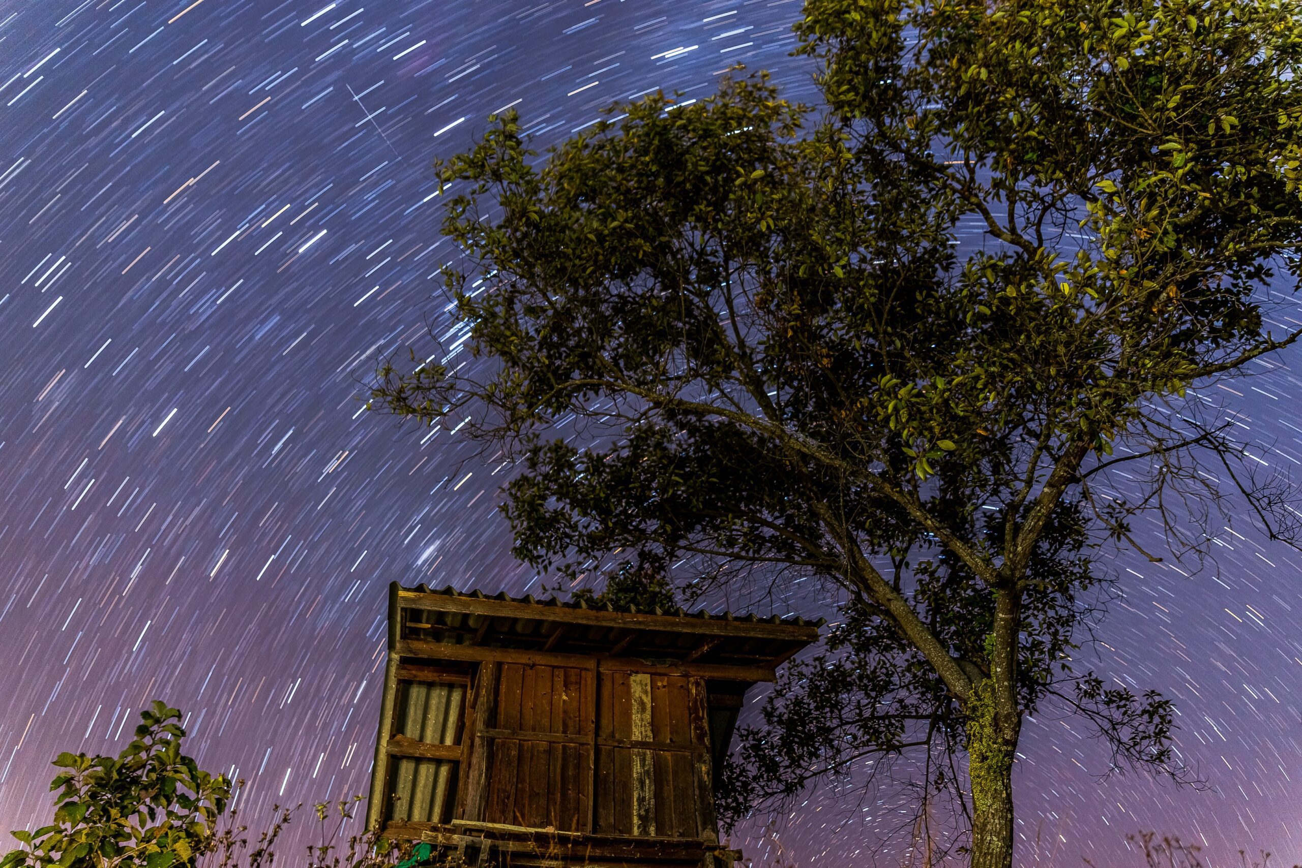 Night sky by Luca Iaconelli from Unsplash