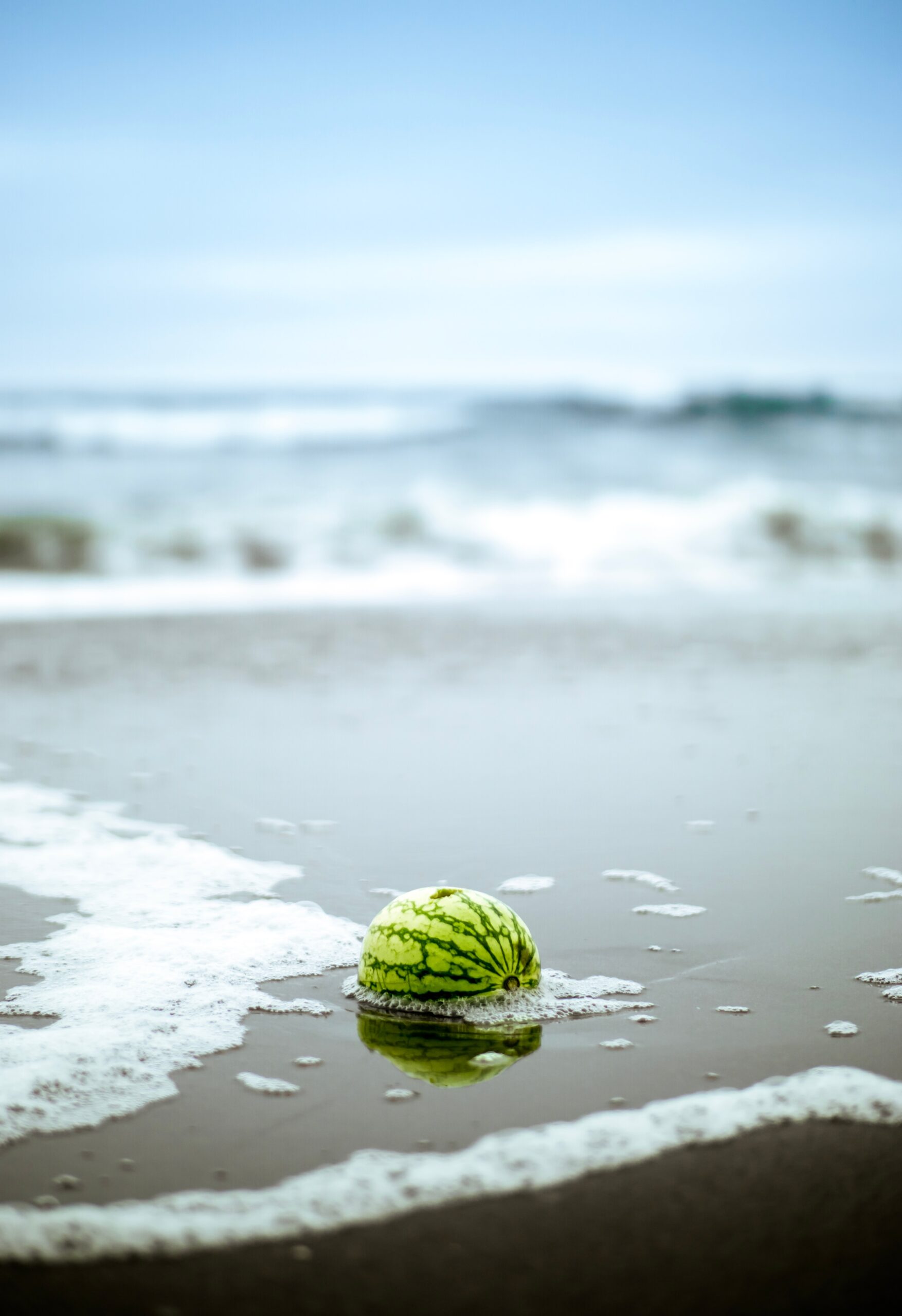 Watermelon washing ashore on ocean beach by william bout on Unsplash