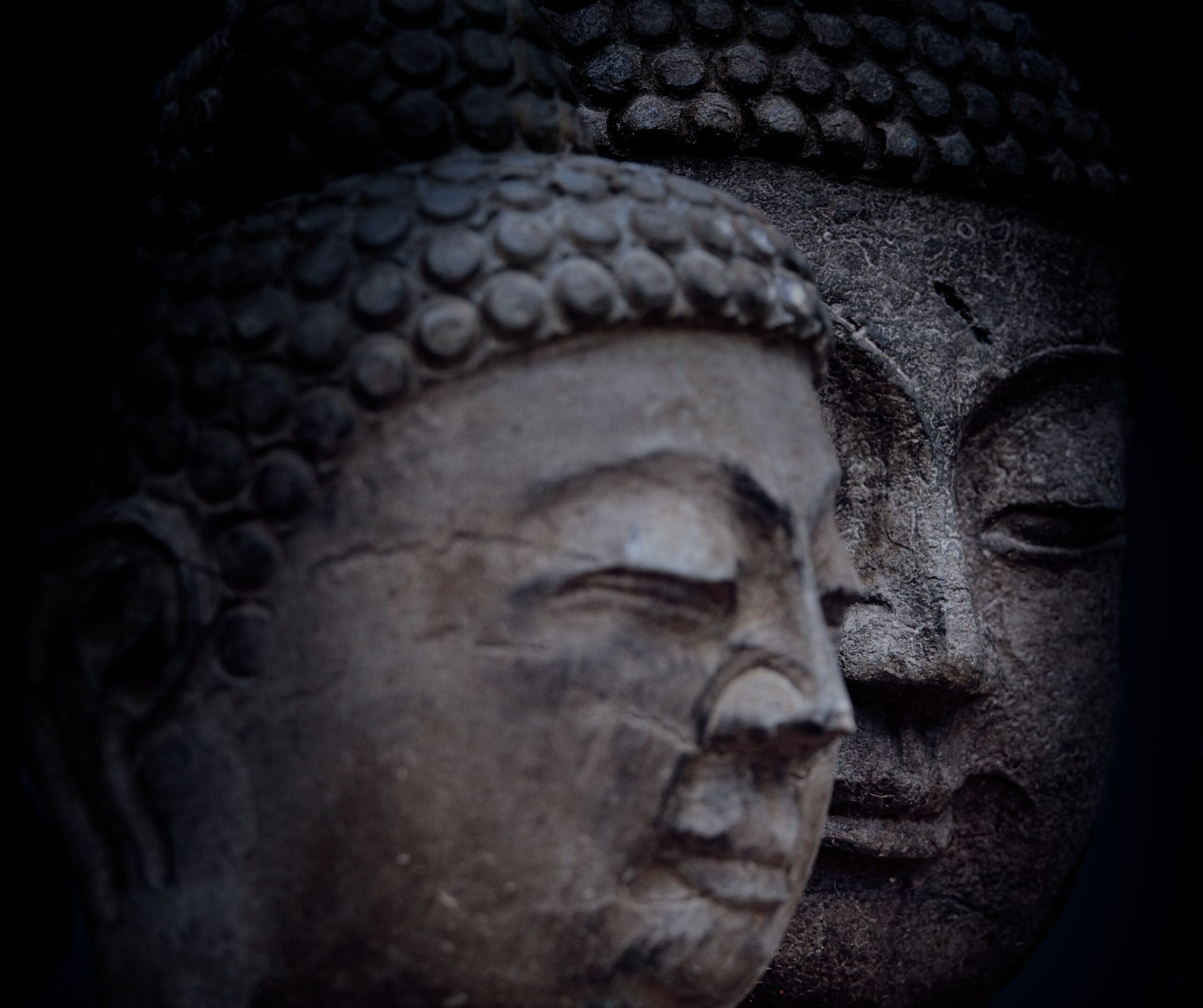 davidcohen-Grey Buddha heads 2-unsplash davidcohen-Grey Buddha heads 2-unsplash
