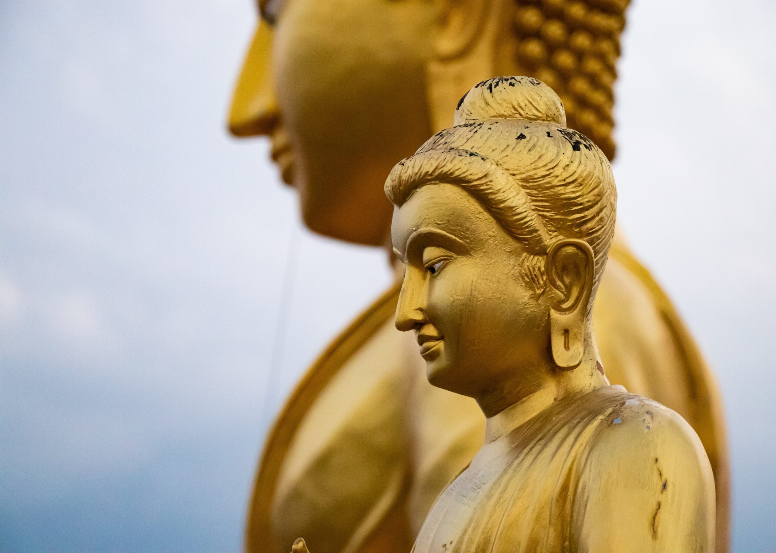 syed-ahmad-Buddha in profile-unsplash syed-ahmad-Buddha in profile-unsplash
