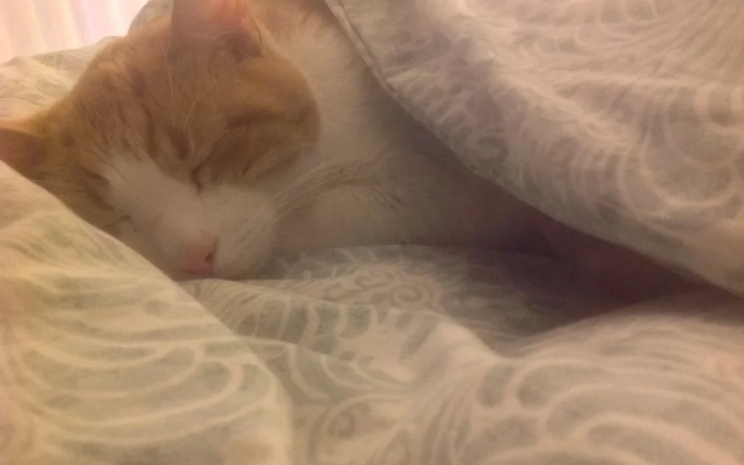 Benefits of a good night’s sleep