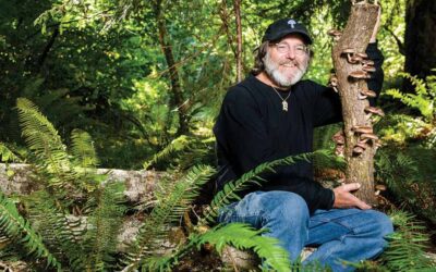 Now Paul Stamets is prepared to save our planet!