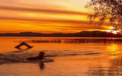 Callie-on-My-Self-Reliance-Sep-2019