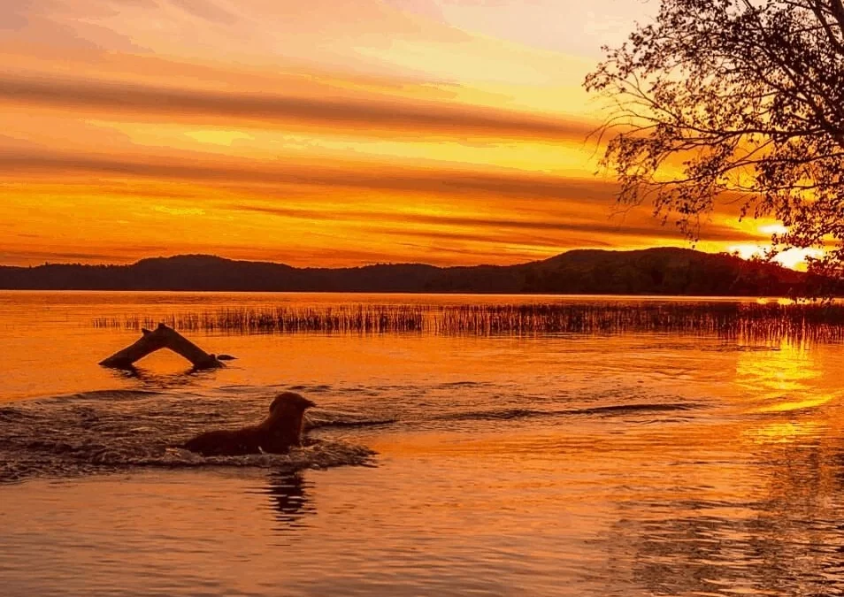 Callie-on-My-Self-Reliance-Sep-2019