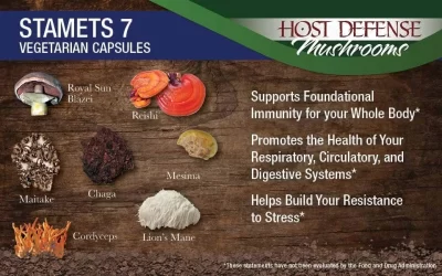 Soar with Stamets 7 now!