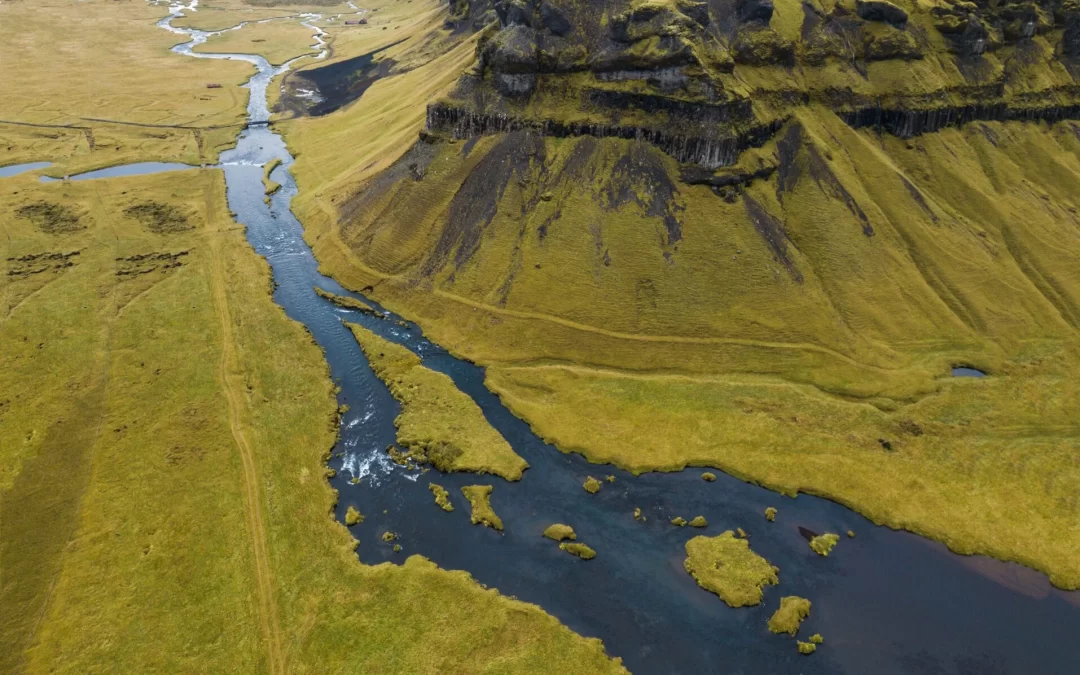 Now the Differences Between Ravens and Crows