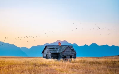 Poetry and Prose we love!