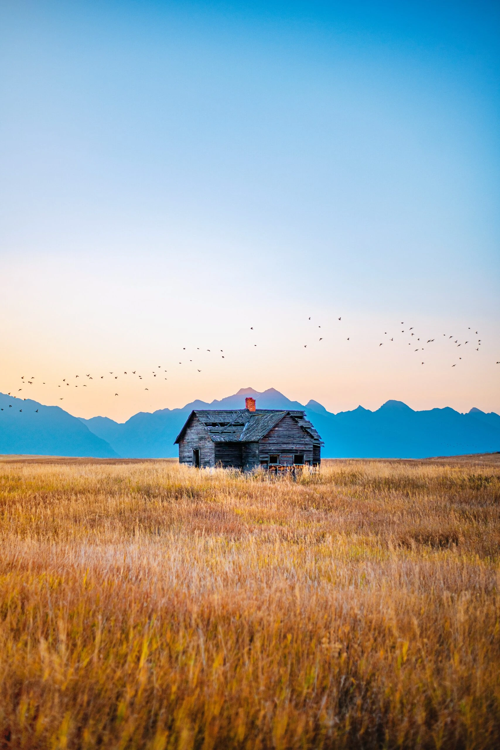 steven-cordes-Montana-USA-Published-on-December-17-2020-NIKON-CORPORATION-NIKON-D850-unsplash-scaled