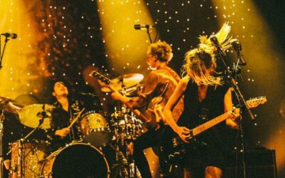 Now, Alice, the wolf is at your door!