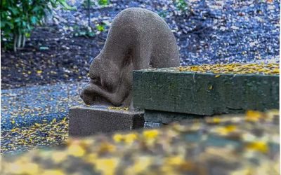 The Best new Franklin Crawford photos