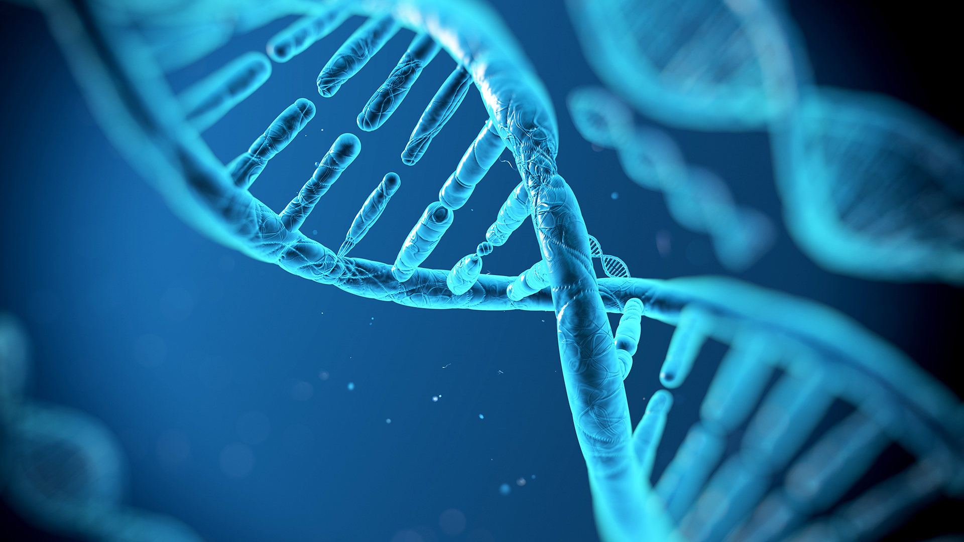 Protandim Nrf1, Nrf2, NAD & ProBio INFORMATION