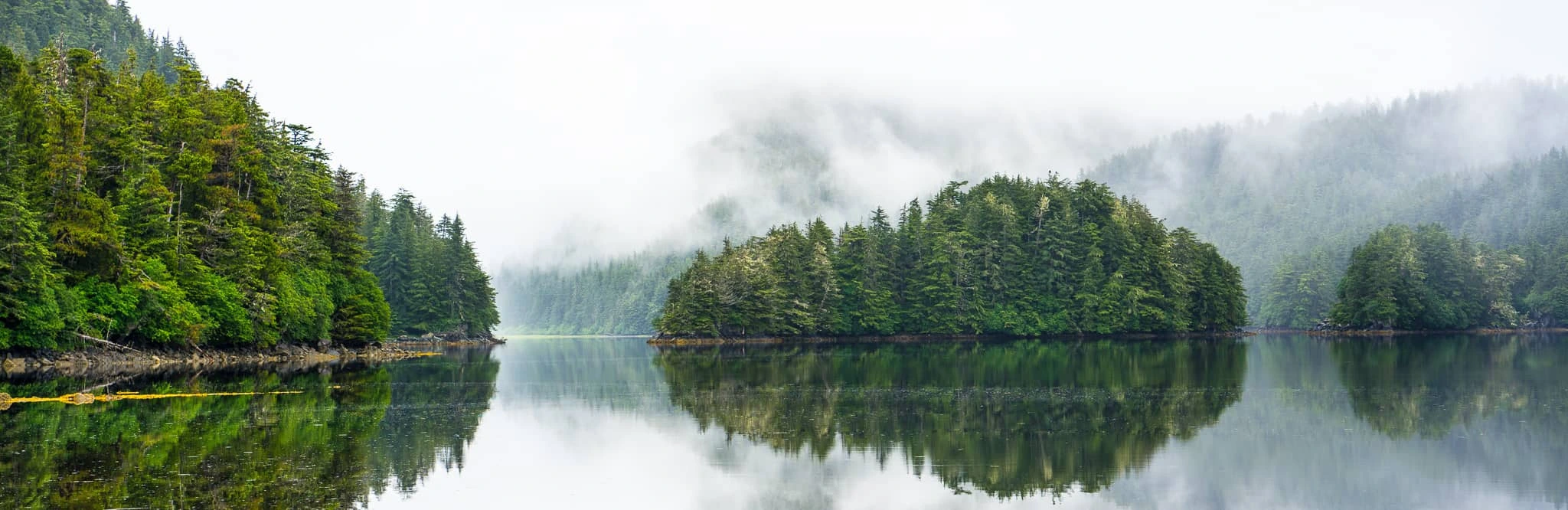 WestChich Tongass Wildlife reserve forest_111_of_200-2