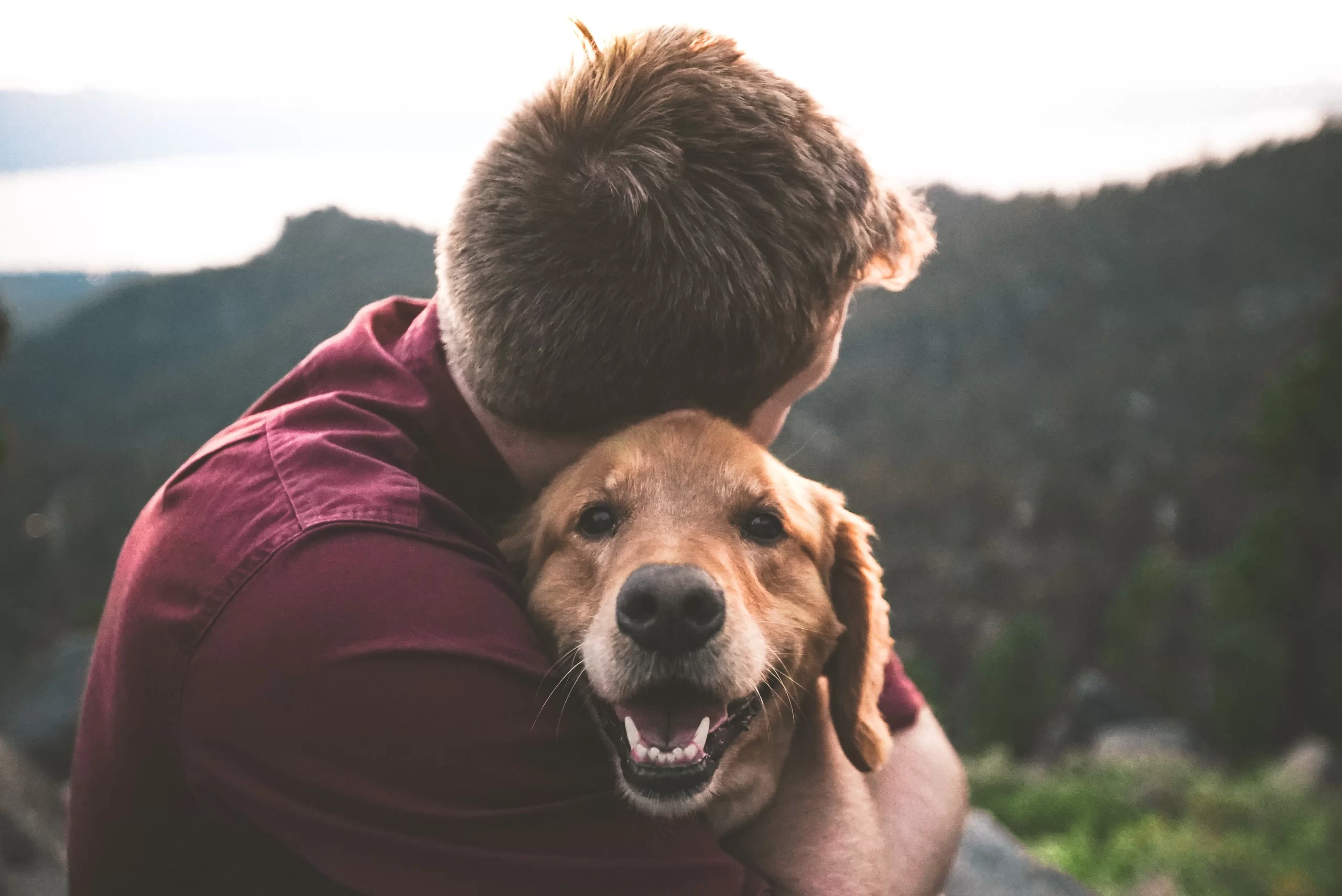 eric-ward-Golden Retriever hugged by owner-unsplash