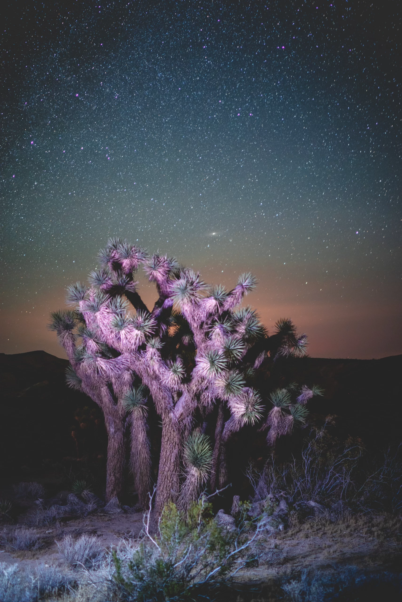 will-truettner-Mojave Desert United states published on Sept 12, 2018-unsplash