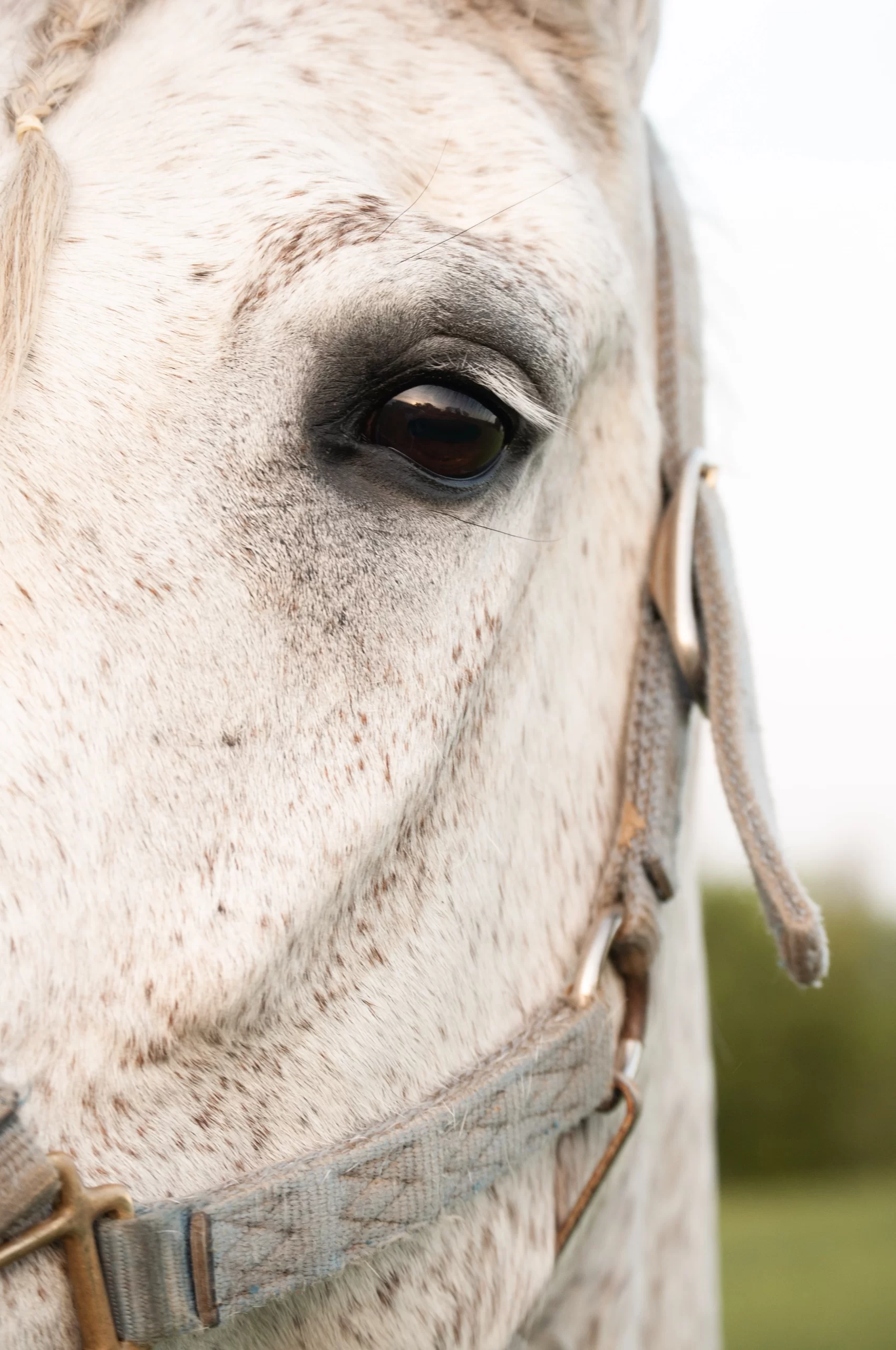 hannah-dickens-Kentucky, United States Published on September 24, 2018 NIKON CORPORATION, NIKON D5000 Free to use under the Unsplash License-unsplash hannah-dickens-Kentucky, United States Published on September 24, 2018 NIKON CORPORATION, NIKON D5000 Free to use under the Unsplash License-unsplash-scaled.webp