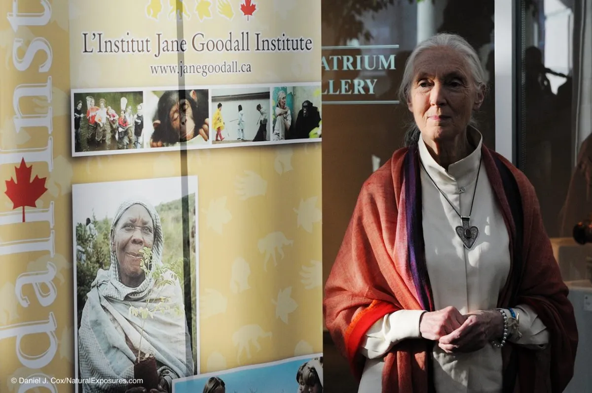 Jane Goodall Institute