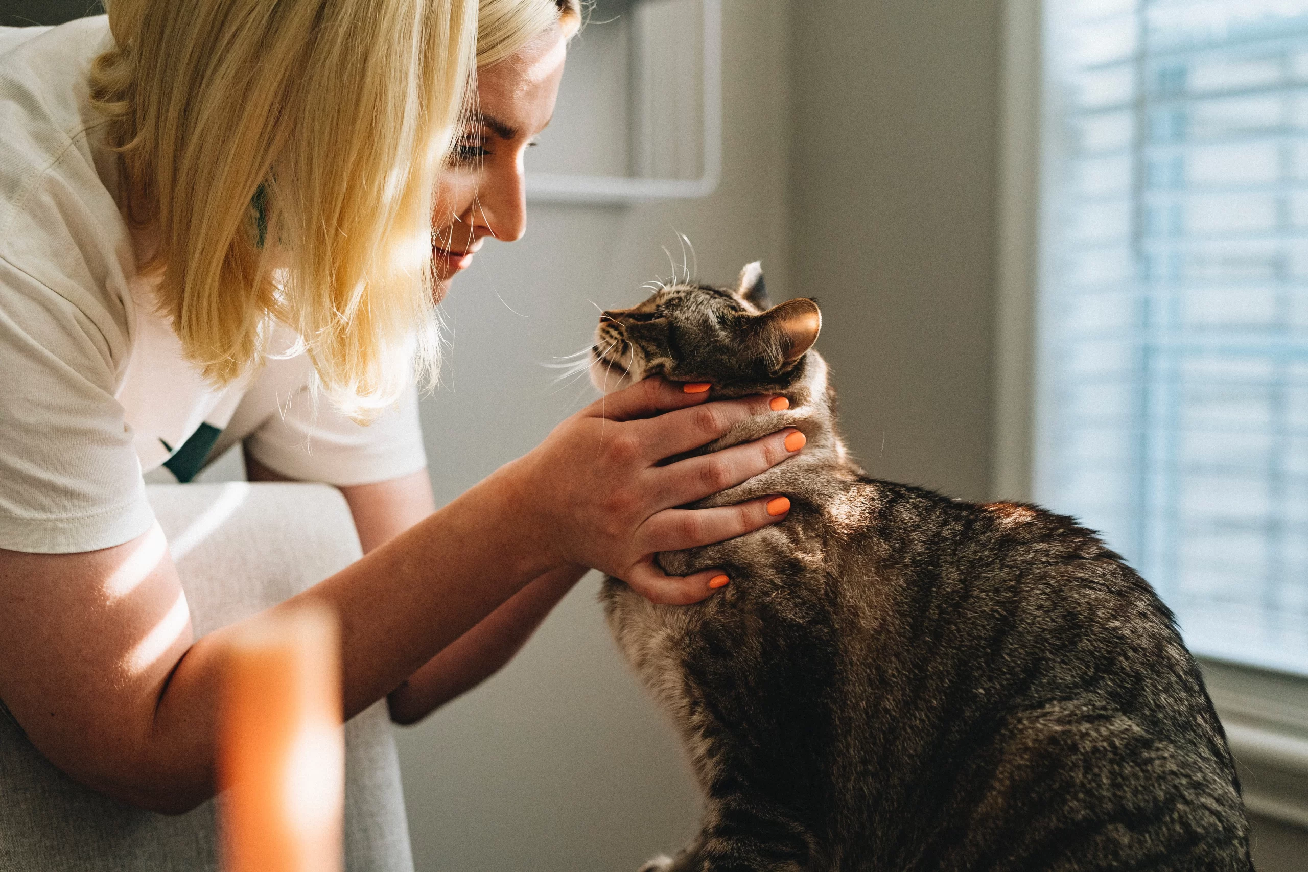 Vet tech with cat on exam table Published on August 3, 2021<br />
Canon, EOS 6D Mark II<br />
Free to use under the Unsplash License