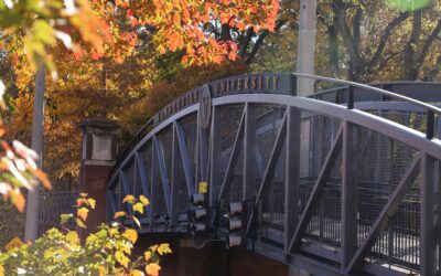 Become a Prompt Engineering Expert right now