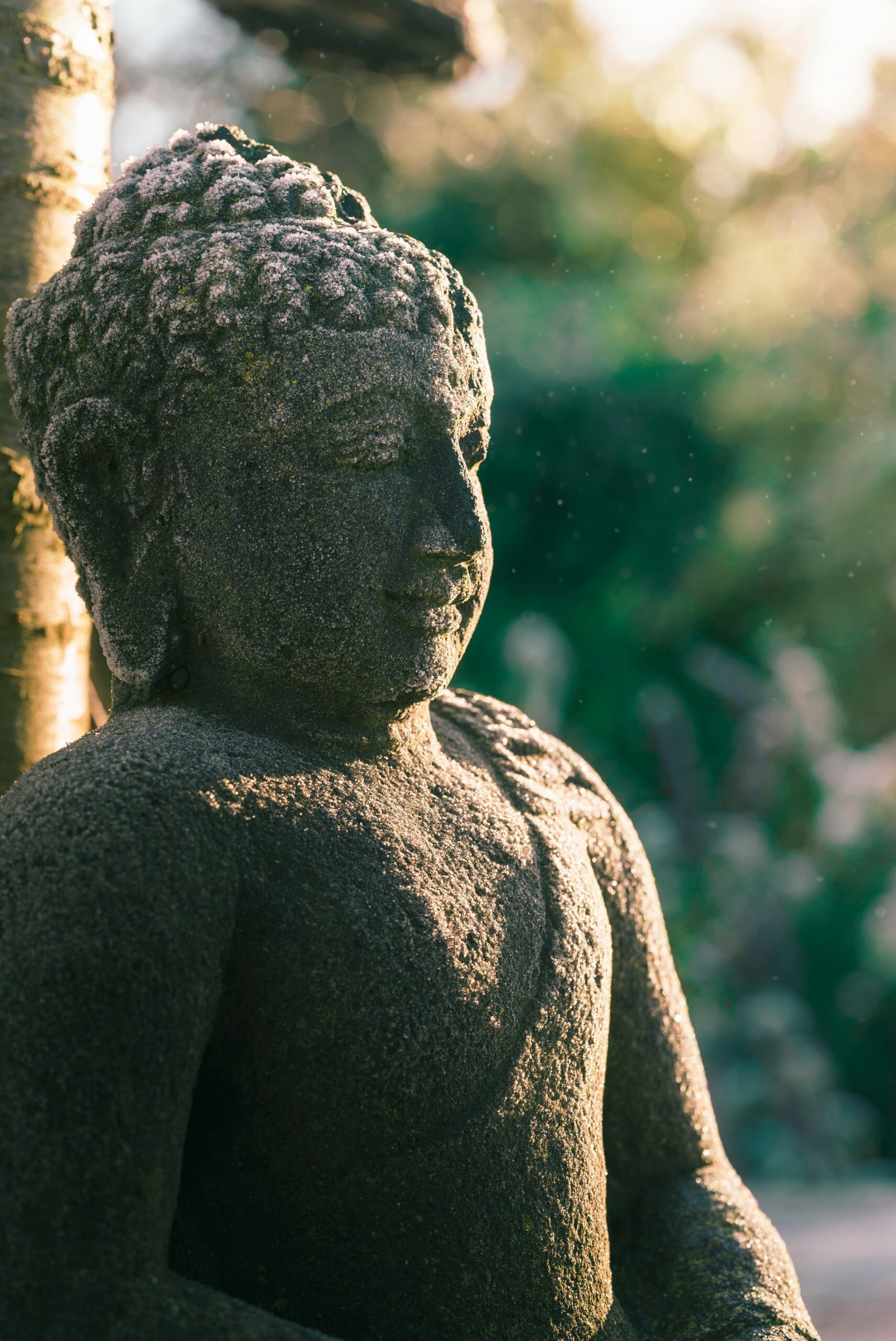 In an early winter morning, the Buddha statue was covered in frost and faced straight into the sunrise with a peaceful look on his face.</p>
<p>Published on January 7, 2018<br />
Free to use under the Unsplash License
