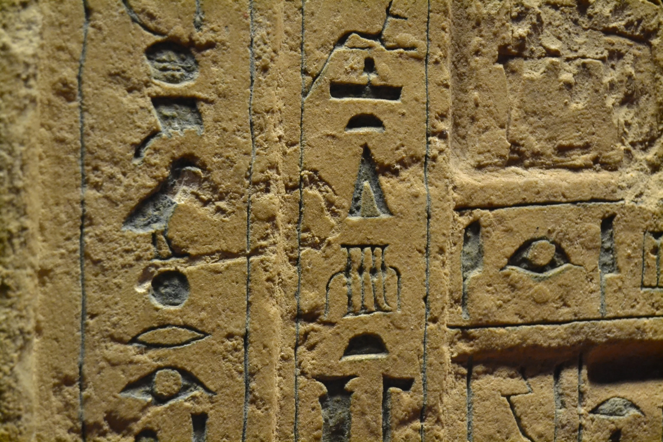 Published on May 24, 2015<br />
NIKON CORPORATION, NIKON D3100<br />
Free to use under the Unsplash License<br />
