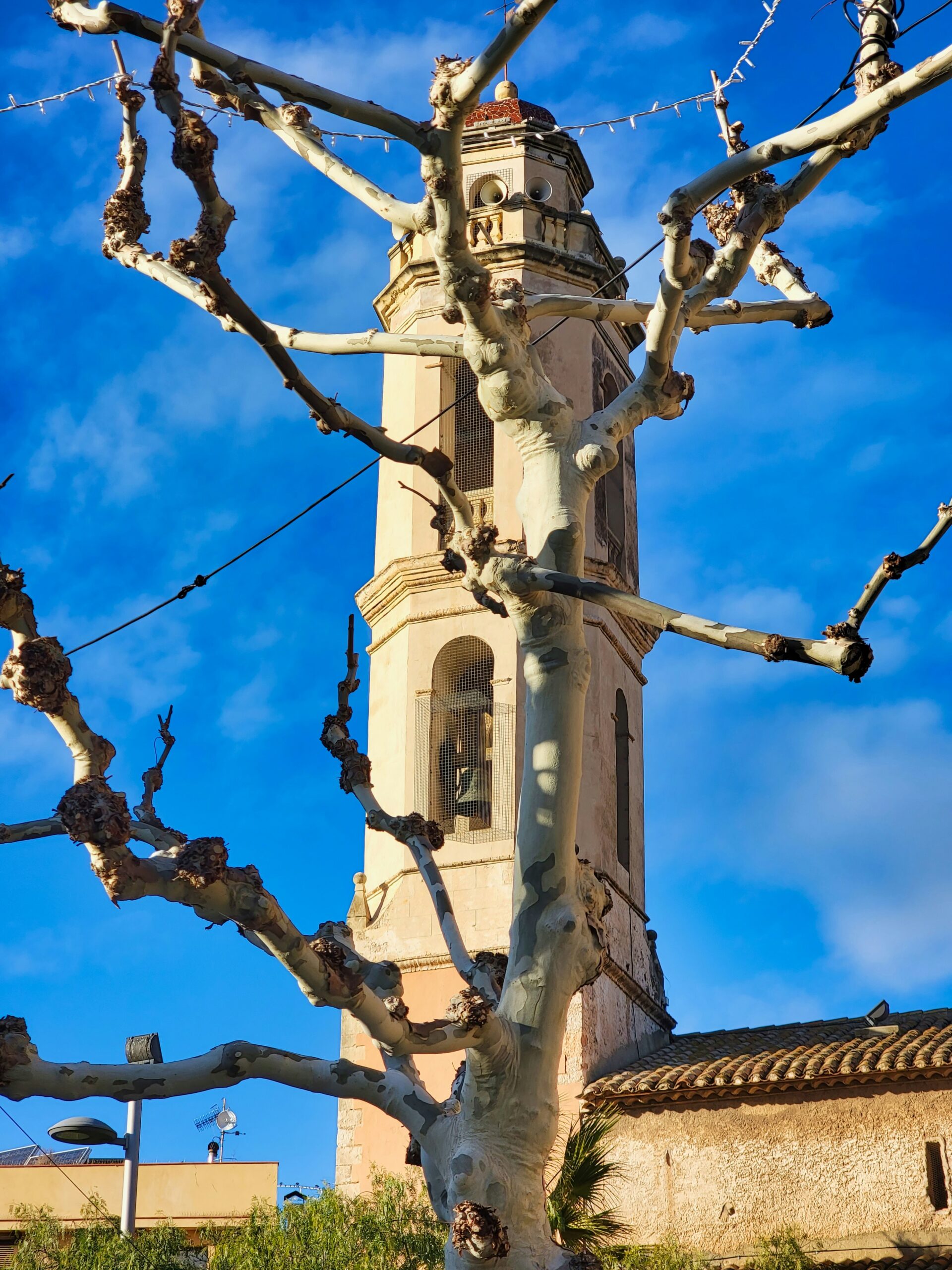 La Bisbal del Penedès, 43717, Tarragona, Spain<br />
Published on January 23, 2024<br />
samsung, SM-G998U1<br />
Free to use under the Unsplash License